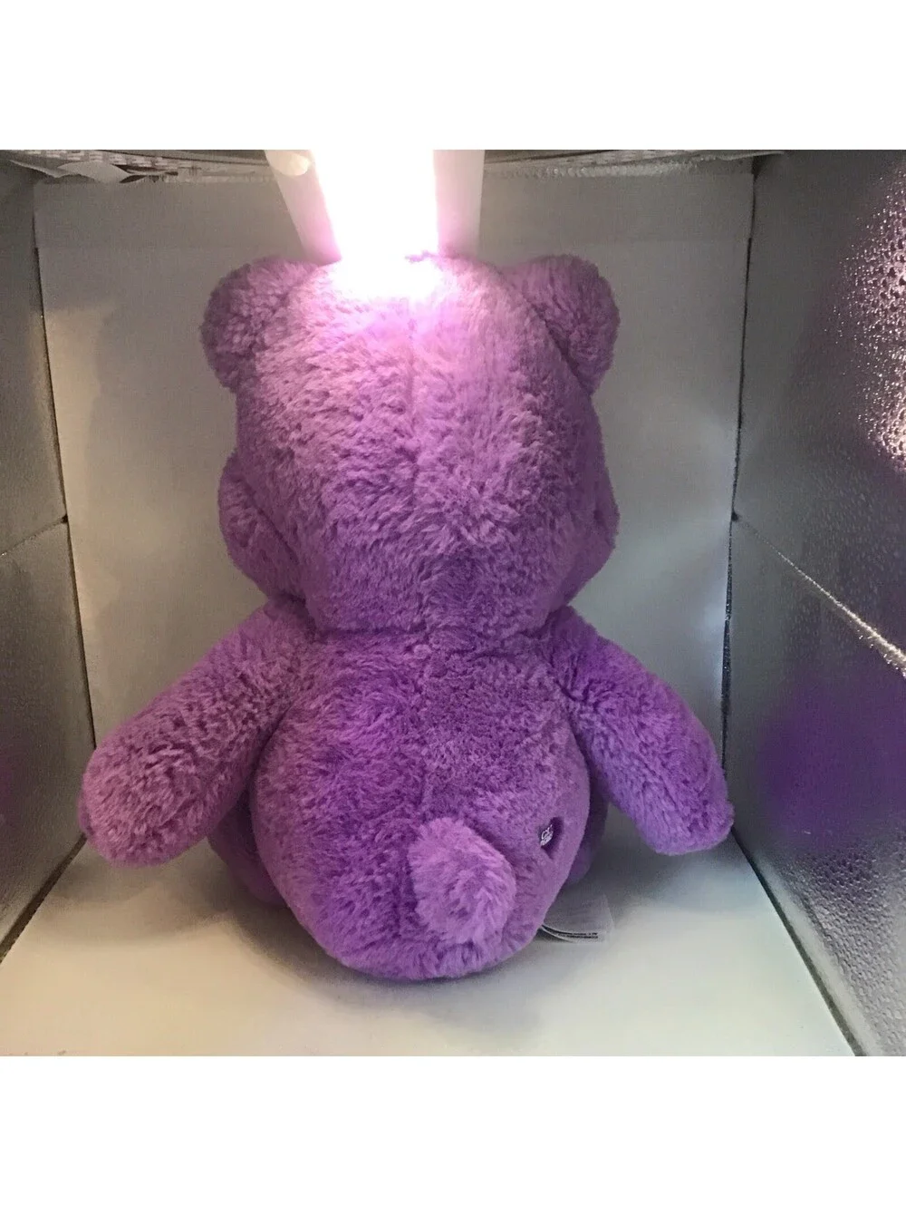 Care Bears Purple Share Bear 14